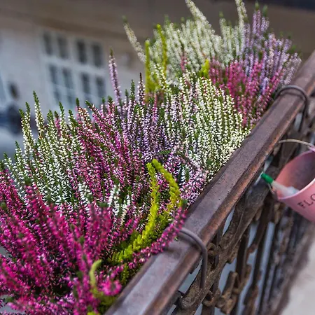 Kameleon Loft 아파트 부다페스트